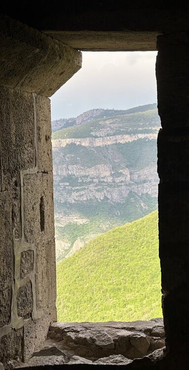 IMG_4795.jpeg