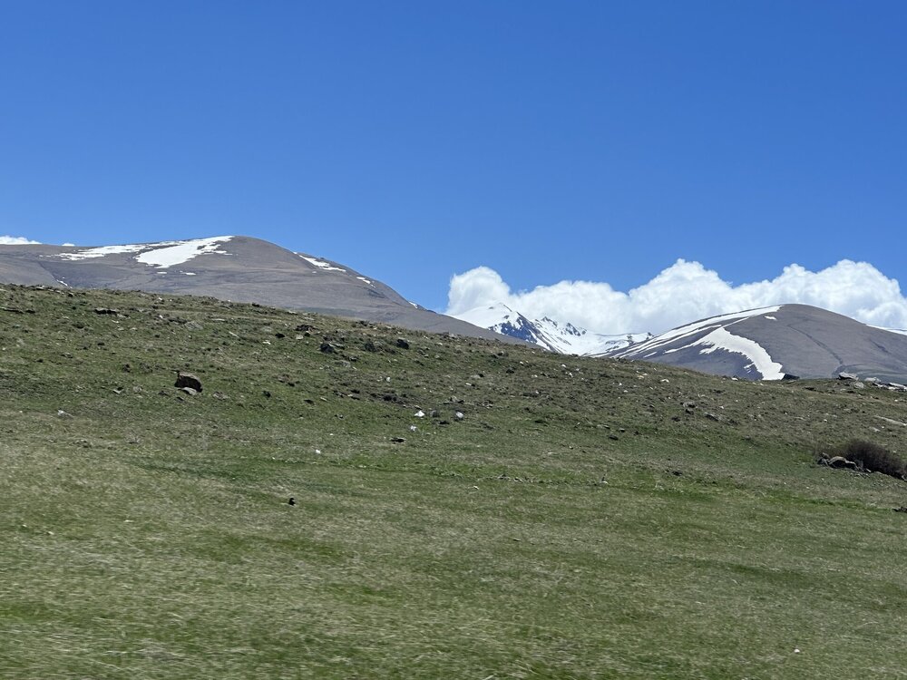 IMG_4992.jpeg