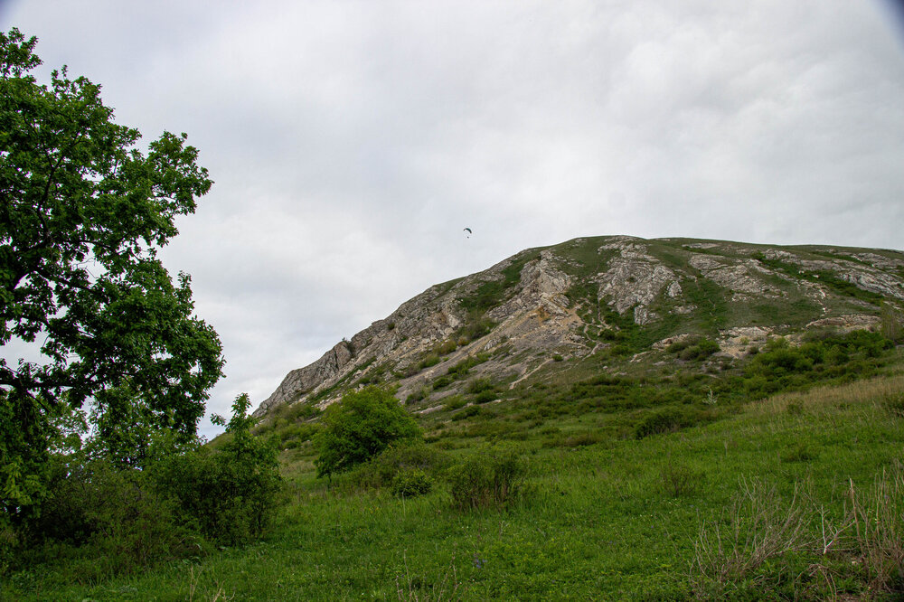IMG_6798.jpg