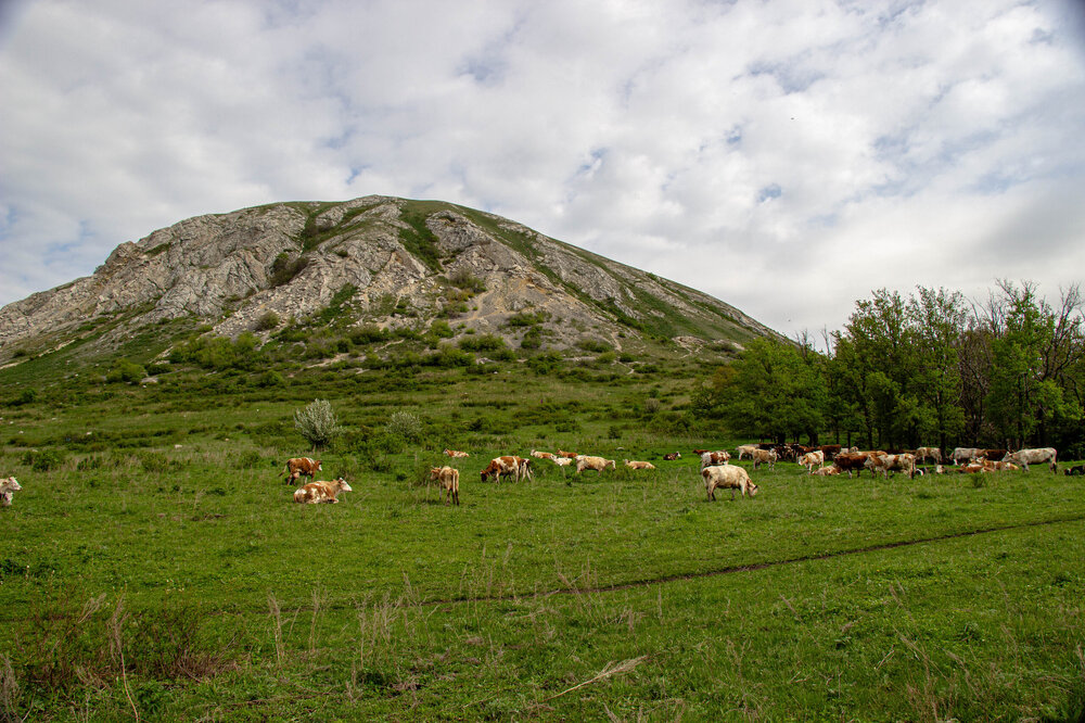 IMG_6870.jpg