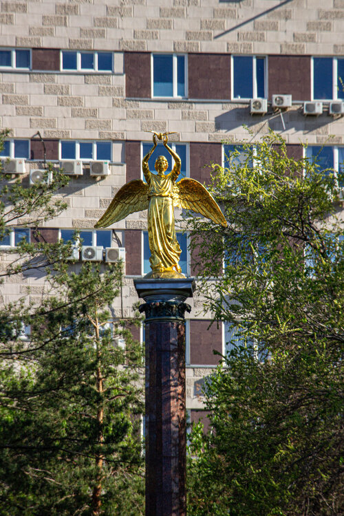 IMG_6900.jpg