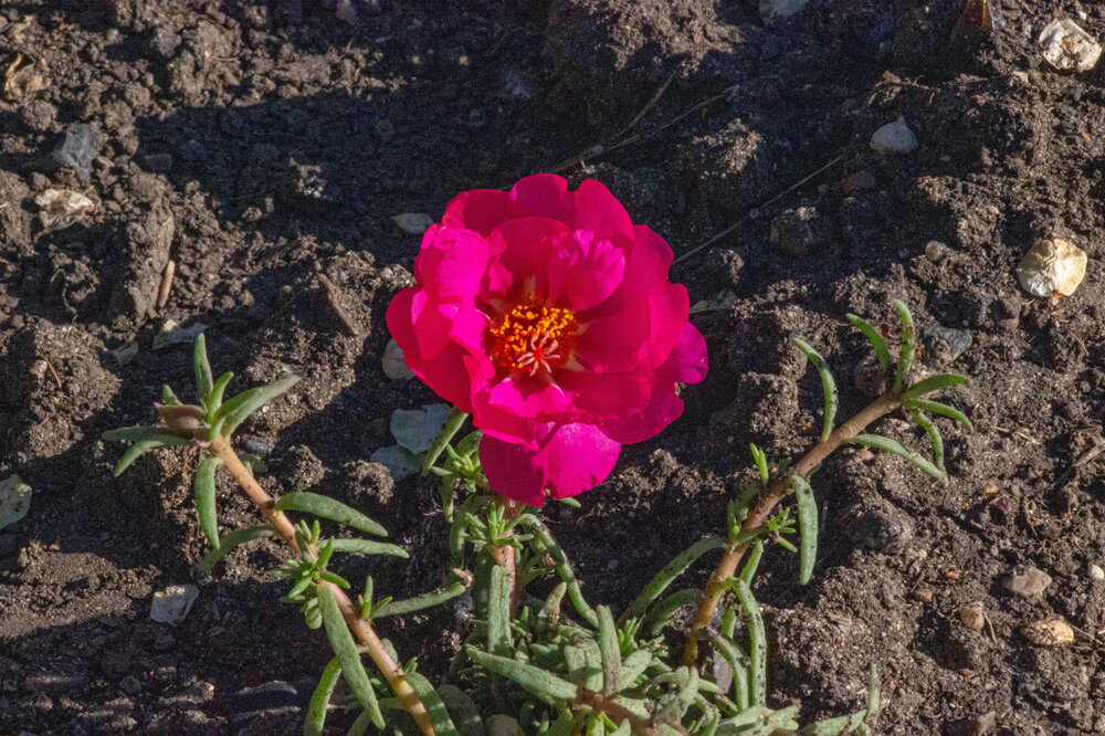 IMG_6902.jpg