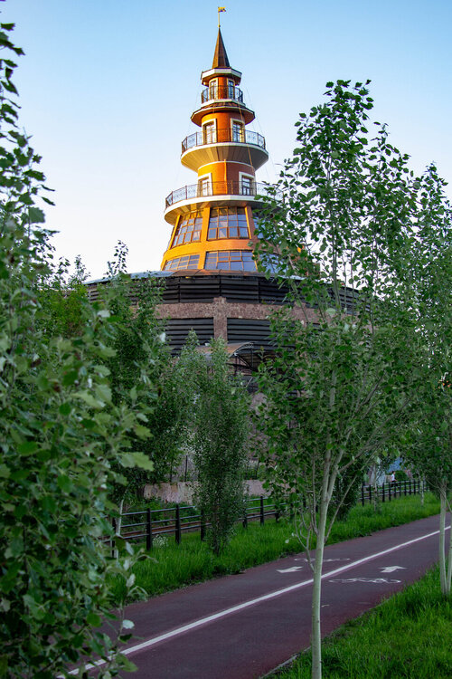 IMG_7010.jpg