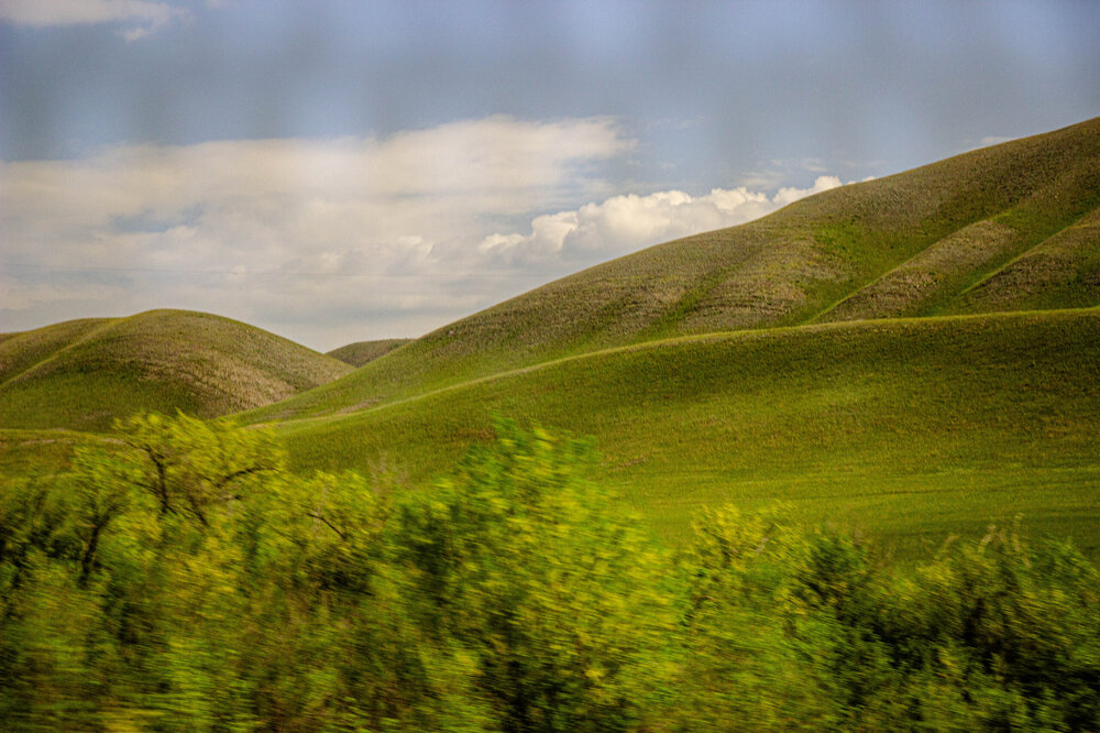 IMG_7063.jpg