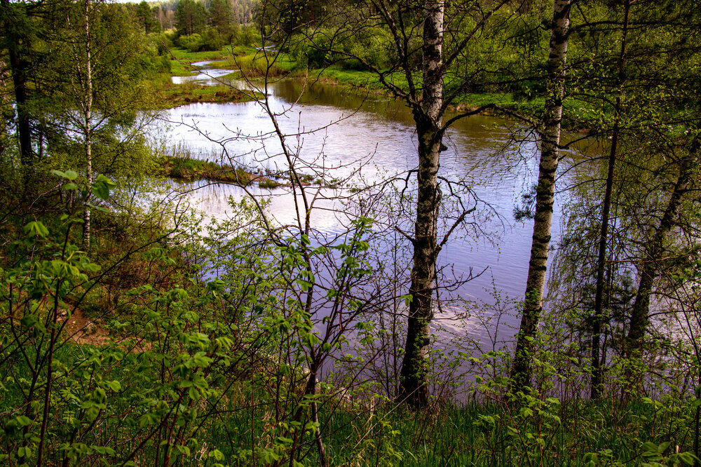 IMG_7325.jpg