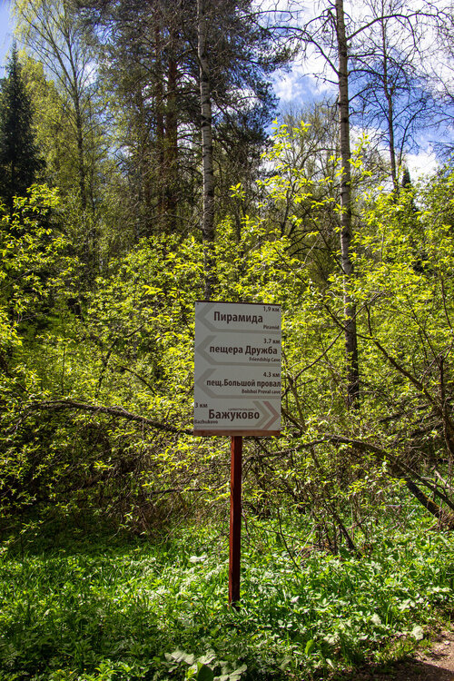 IMG_7376.jpg