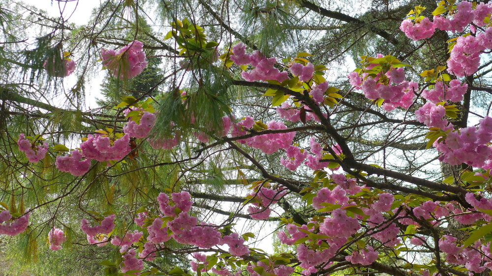 P1540854.JPG
