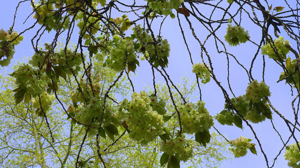 P1540888.JPG