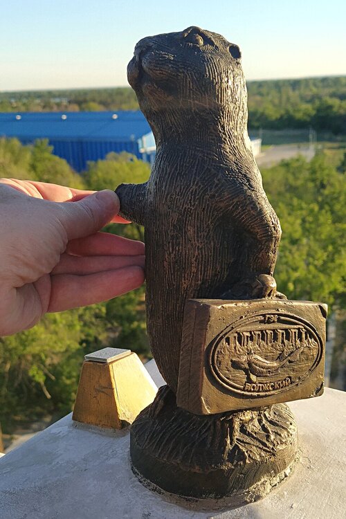 ______IMG_20240505_181928.jpg