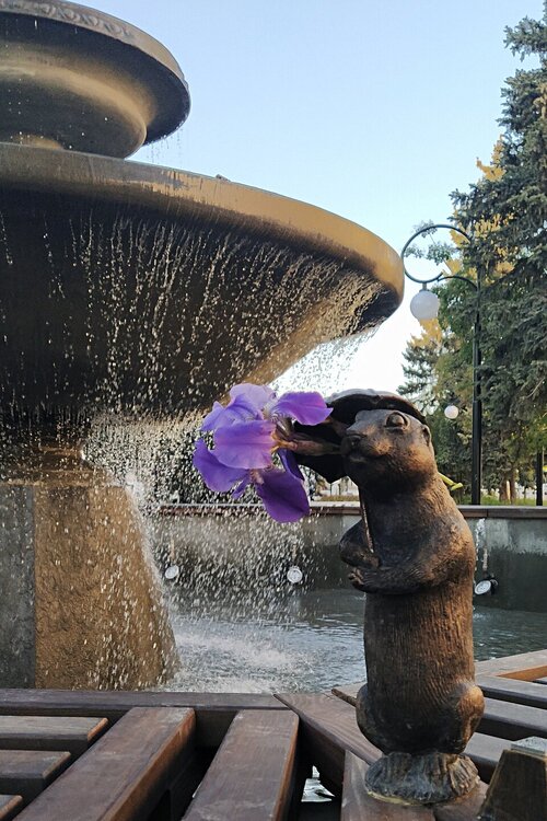 ______IMG_20240505_182409.jpg