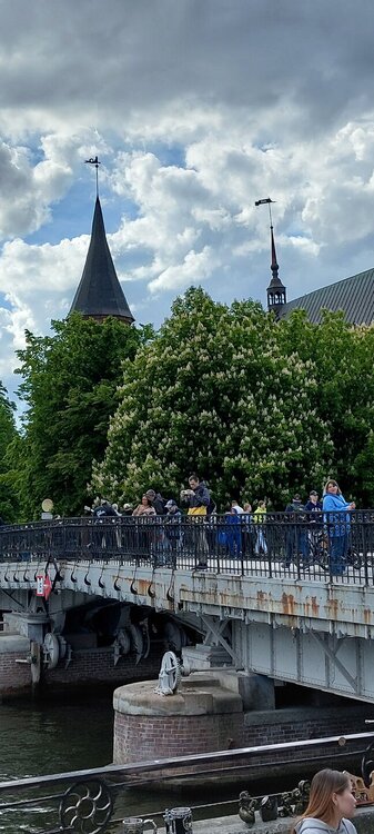 20250524_164621.jpg