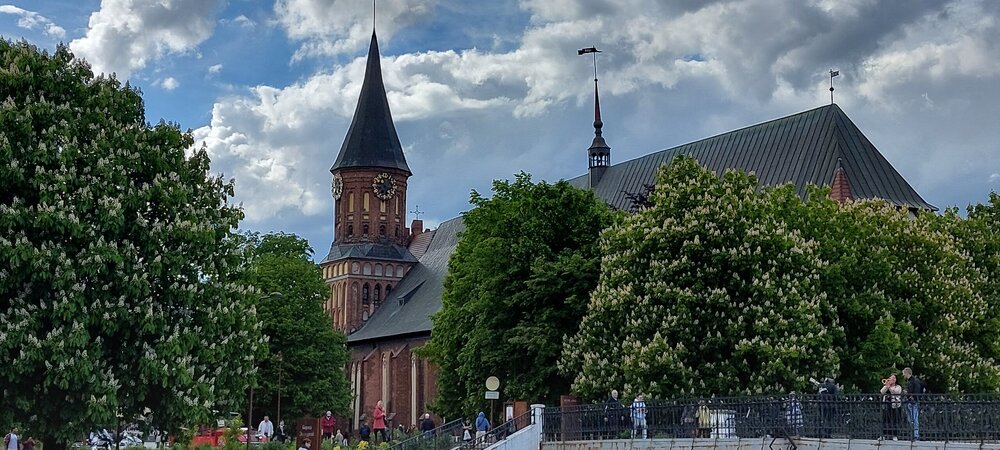 20250524_164858.jpg
