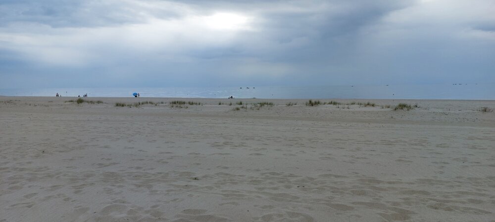 20250528_164134.jpg