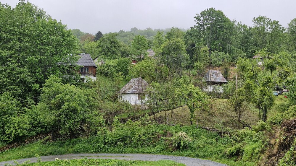 20250529_085637.jpg