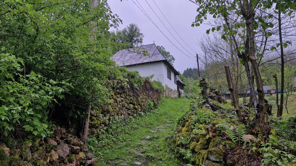 20250529_085728.jpg