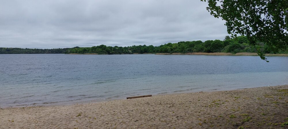 20250529_115215.jpg