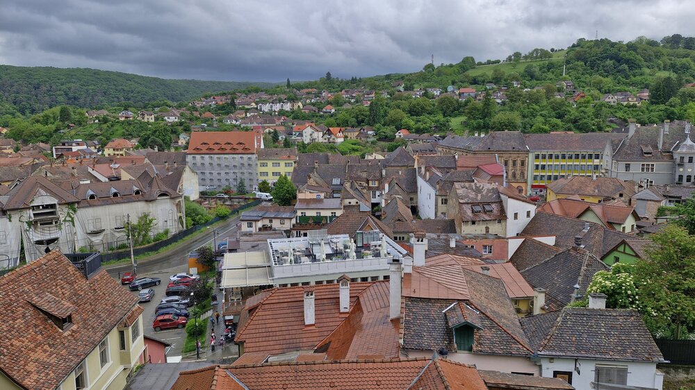 20250529_145620.jpg