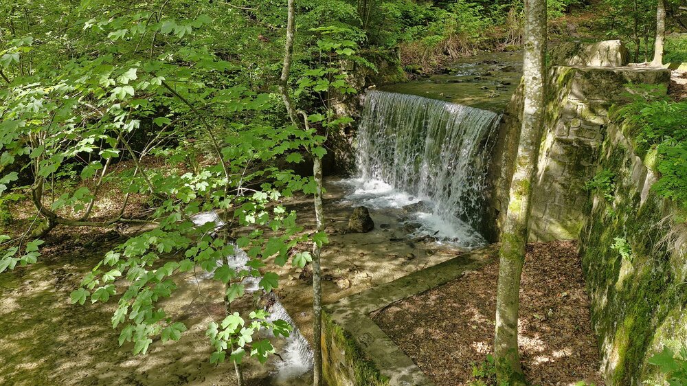 20250531_091500.jpg