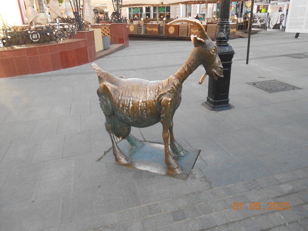 DSCN5192.JPG