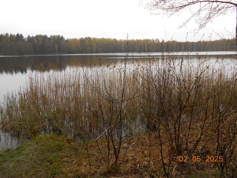 DSCN5200.JPG