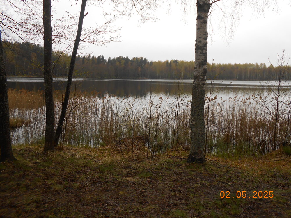 DSCN5201.JPG