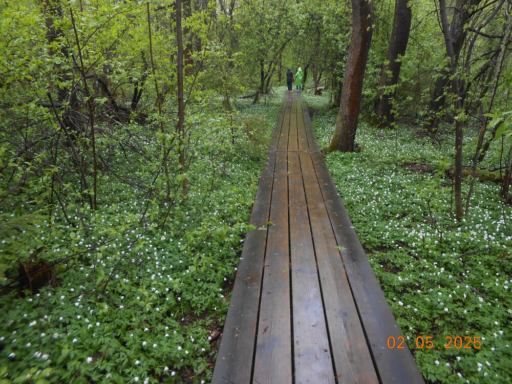 DSCN5207.JPG