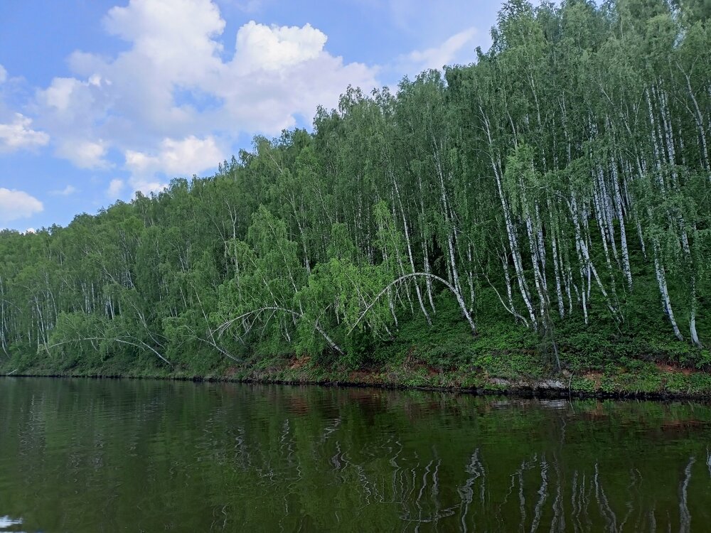 IMG20250531171317.jpg