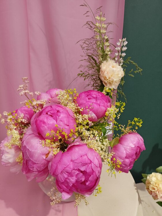 IMG20250629144820.jpg