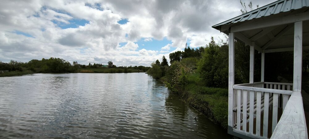 IMG_20250502_113117.jpg