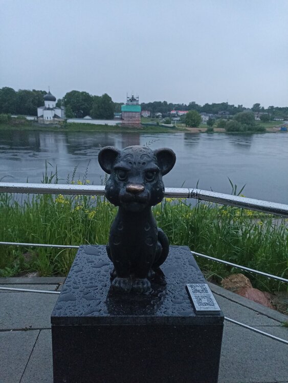 IMG_20250611_215828.jpg