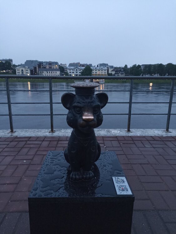 IMG_20250611_220643.jpg