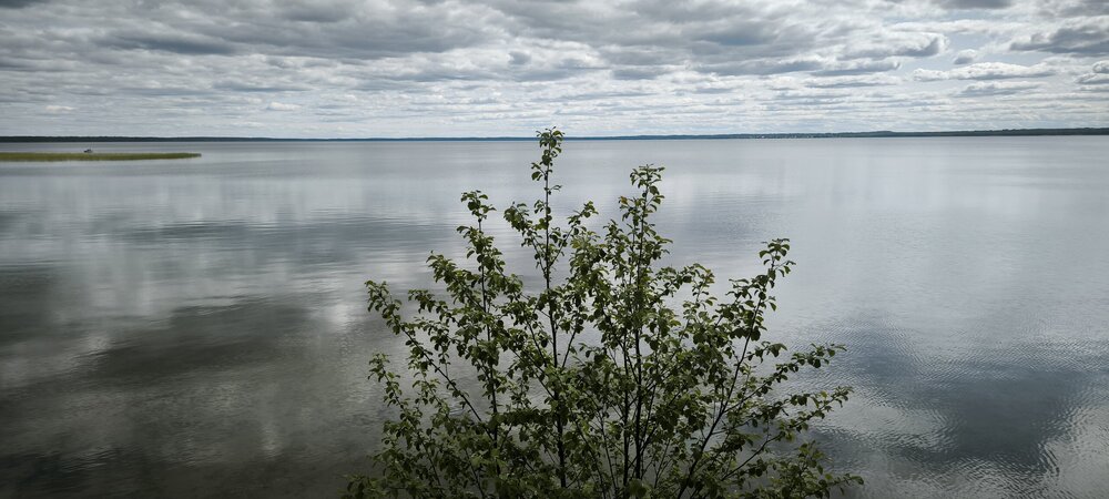 IMG_20250622_142324.jpg