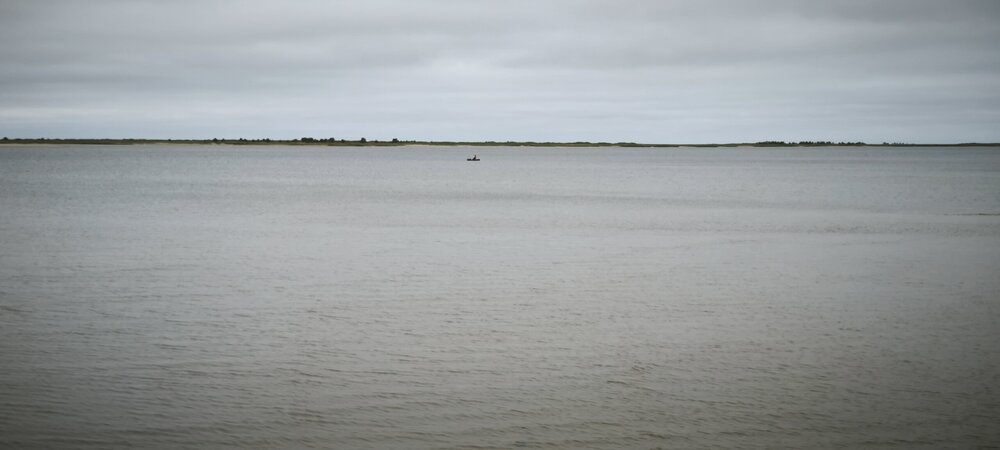 IMG_20250625_150456.jpg