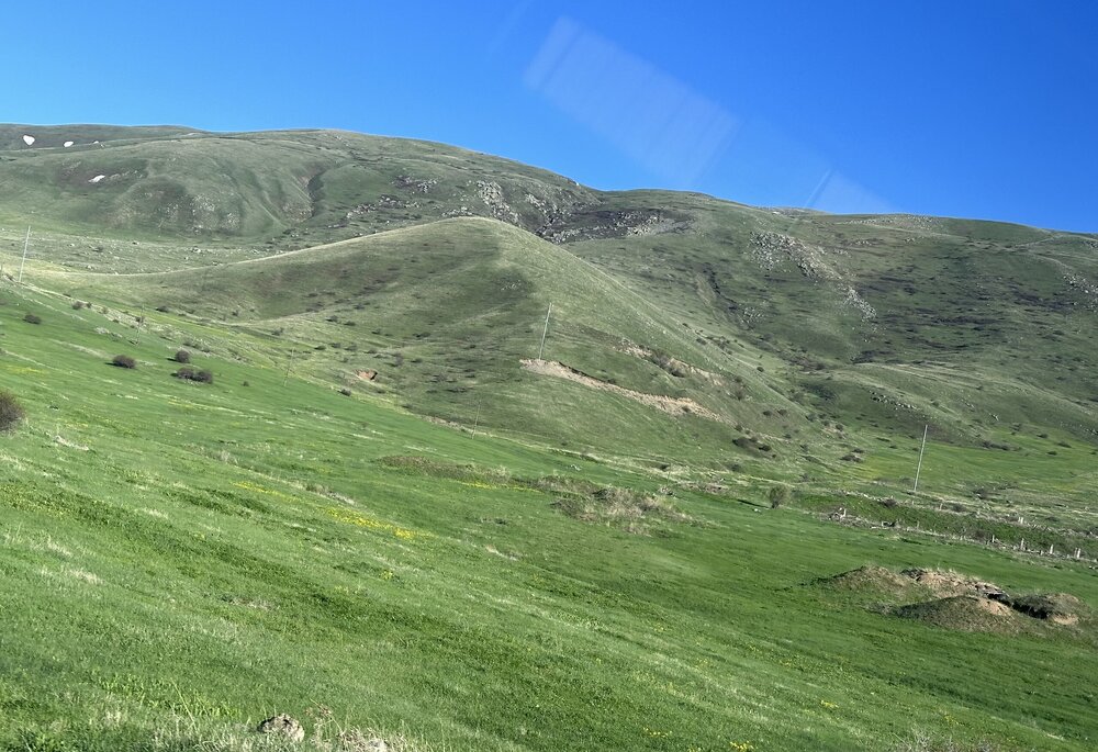 IMG_5114.jpeg