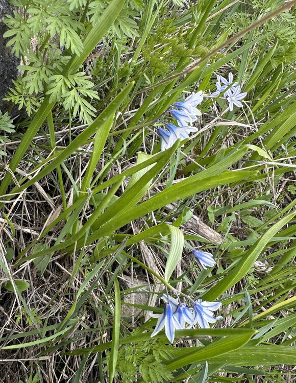 IMG_5410.jpeg