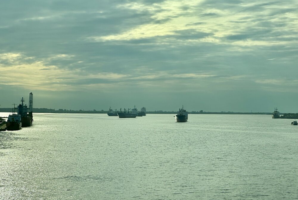 IMG_7227.jpeg