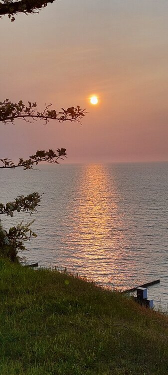 20250531_200432.jpg