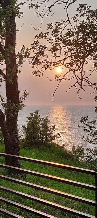 20250531_200522.jpg