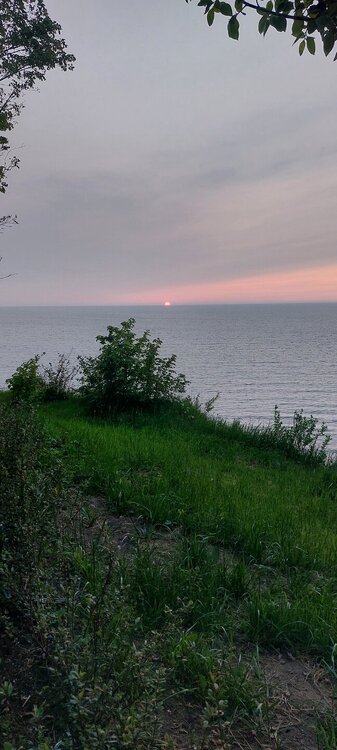 20250531_210428.jpg