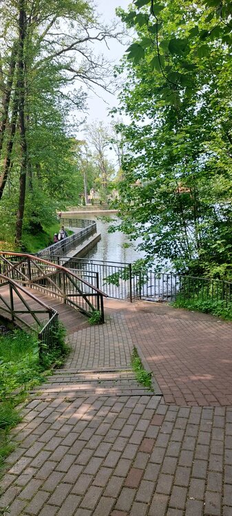 20250601_125553.jpg