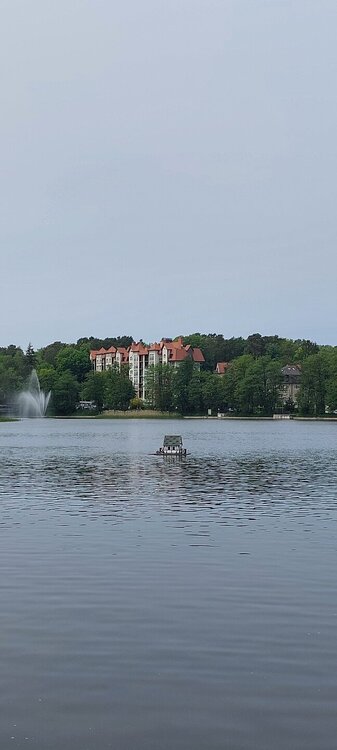 20250601_131631.jpg
