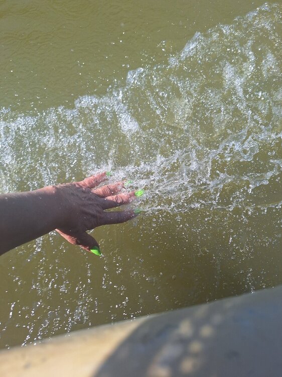 20250726_113234.jpg