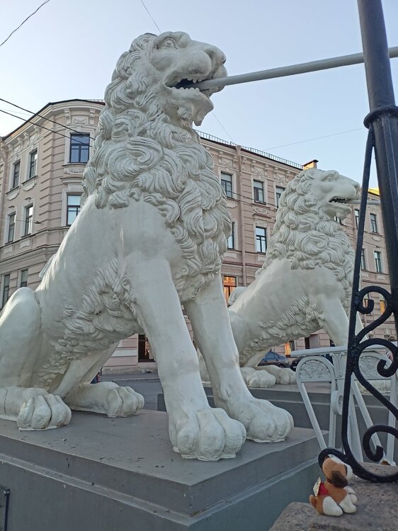 IMG20250701212844.jpg