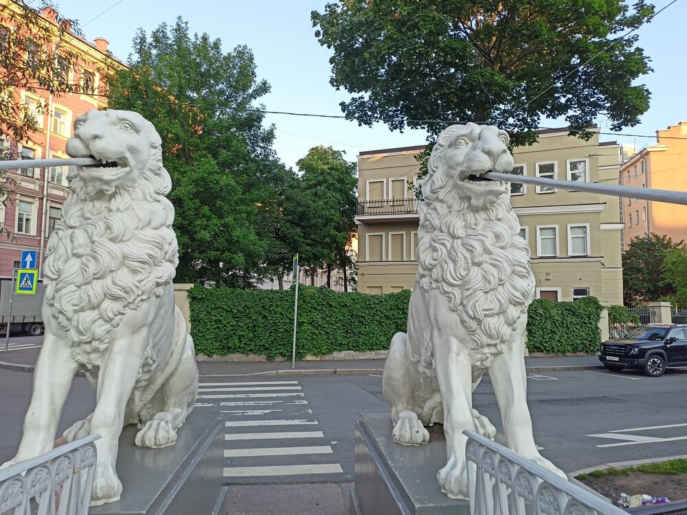 IMG20250701212929.jpg