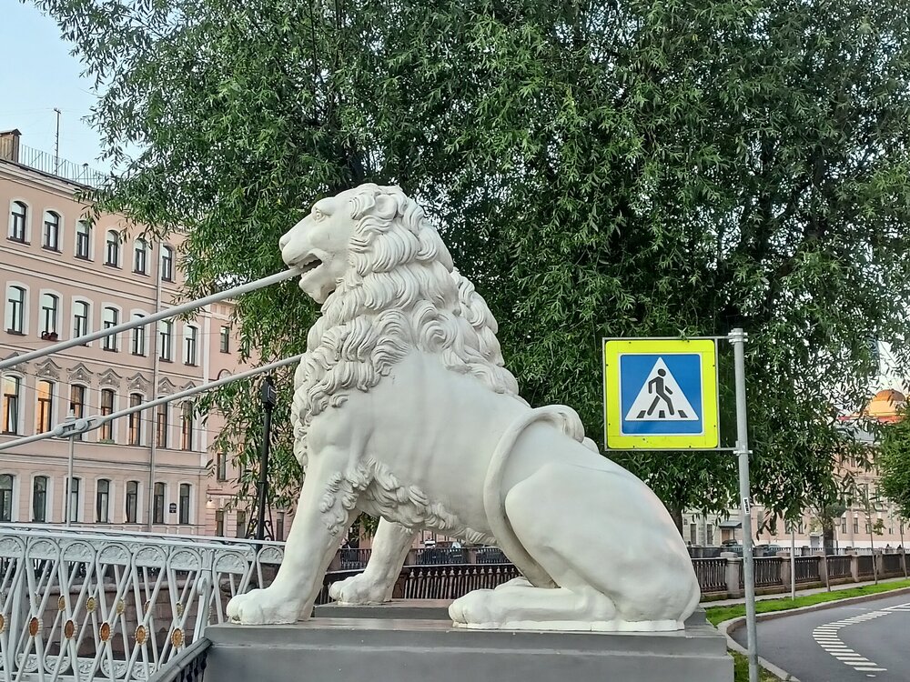 IMG20250701212953.jpg