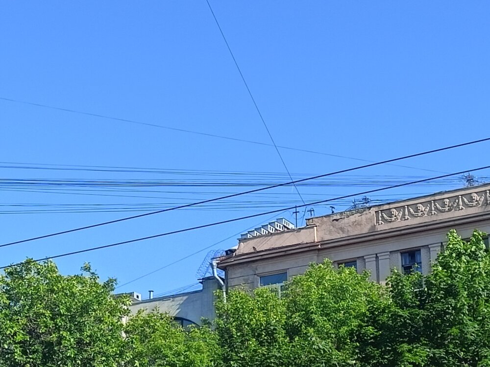 IMG20250702164034.jpg