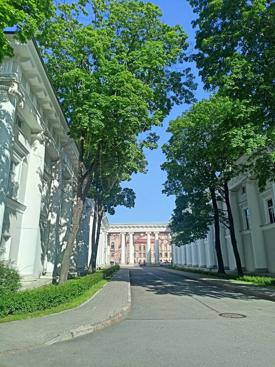IMG20250703172254.jpg