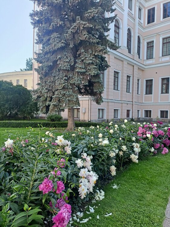 IMG20250703172324.jpg