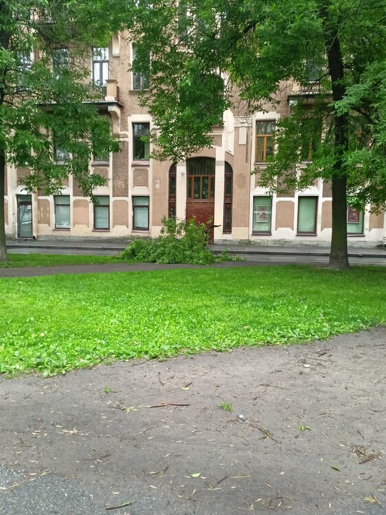 IMG20250704090854.jpg