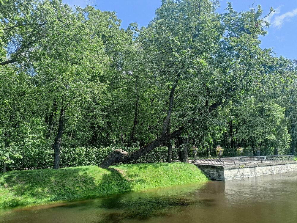 IMG20250704134006.jpg